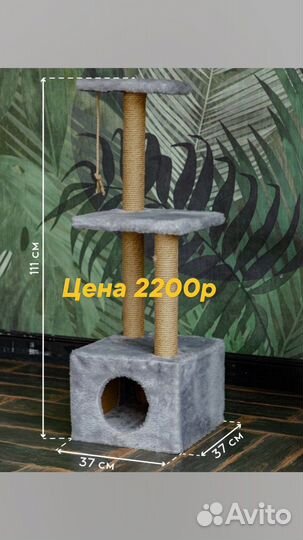 Когтеточка