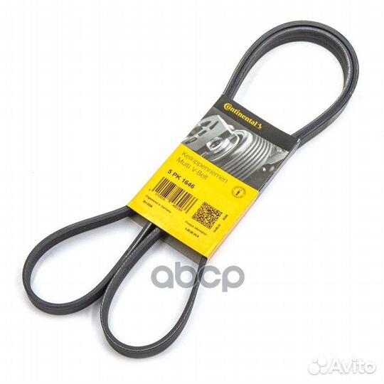 Ремень поликлиновый 5PK1646 ContiTech