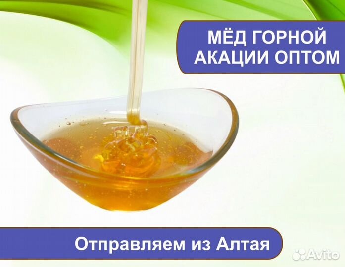 Алтайский мед (опт.)
