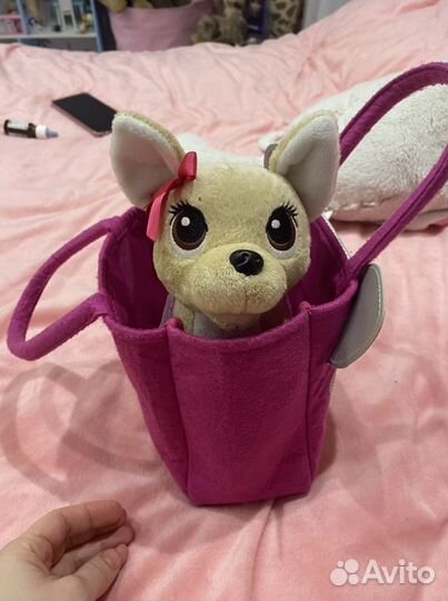 Собака chi chi love