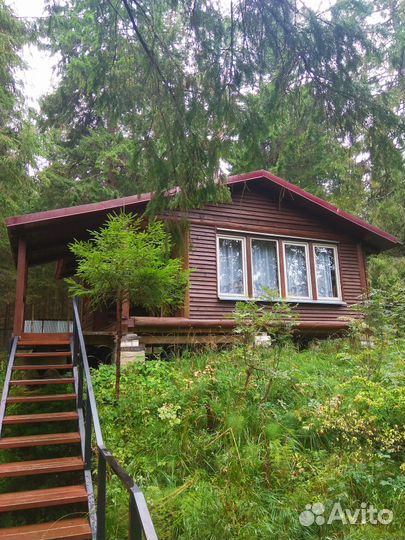 Аренда бани на берегу реки Орша