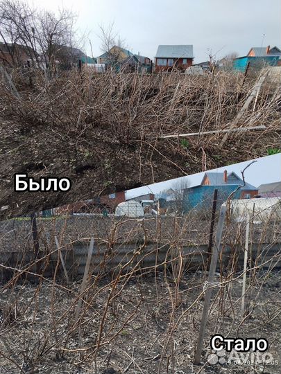 Помощь в огороде, в саду, на даче