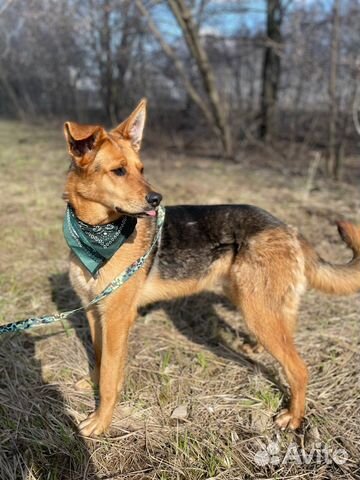 Очень ласковый обнимательный парень ищет семью