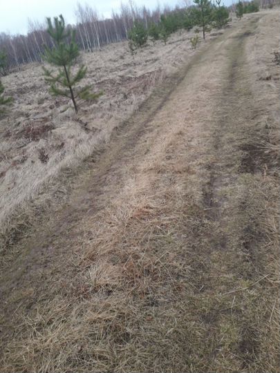 Участок 10 га (СНТ, ДНП)