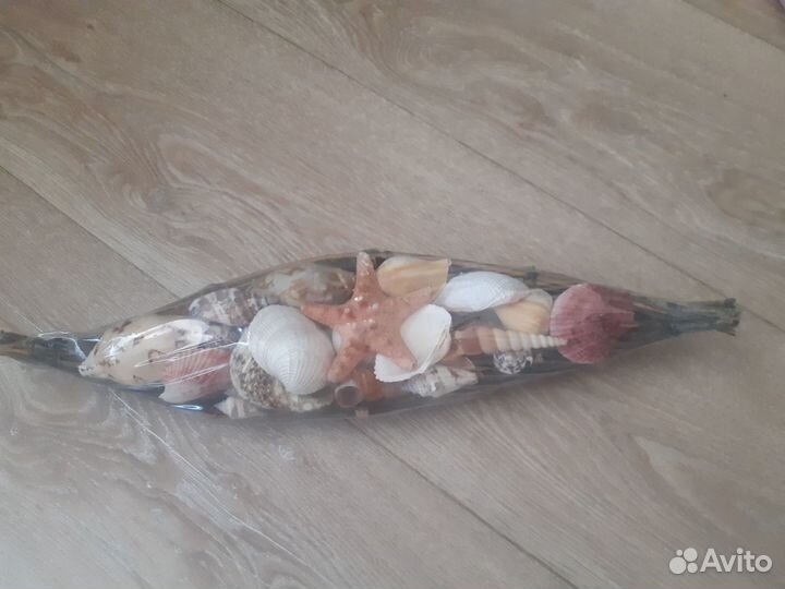 Набор ракушек в корзине