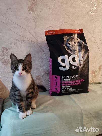 Корм для кошек Go