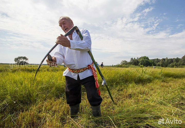 Покос травы триммером, вырубка кустарника