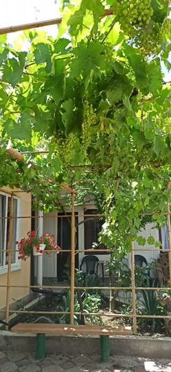 Комната 18 м², 1/2 эт.