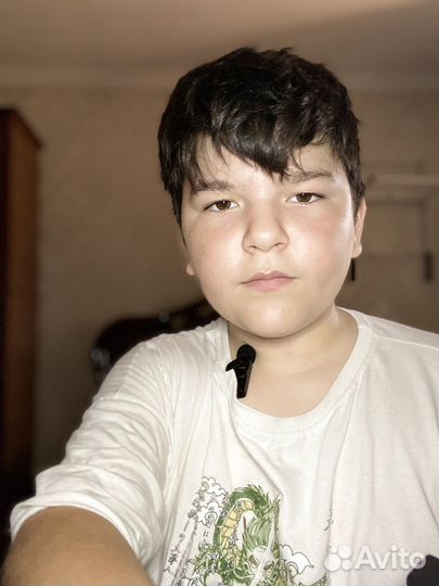 Микрофон петличный Type C