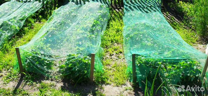 Сетка от птиц 2 м на 5 метров