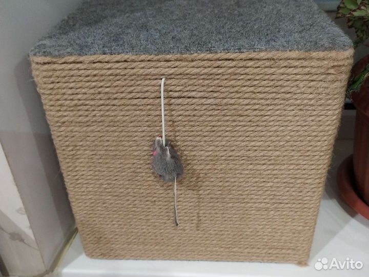 Когтеточка для кошек