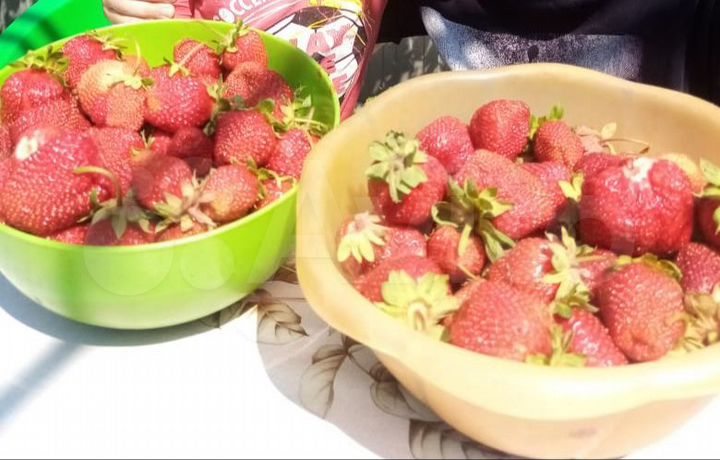 Дом 118 м² на участке 14 сот.