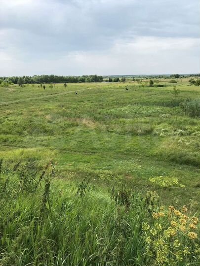 Участок 17,6 сот. (ИЖС)