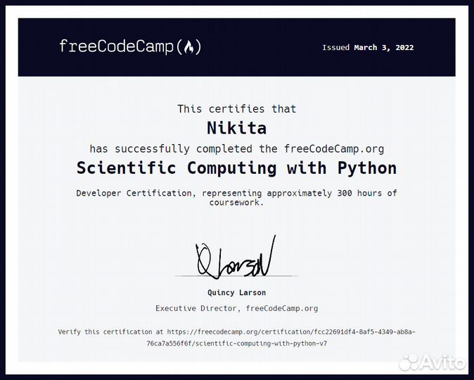 Репетитор по программированию python