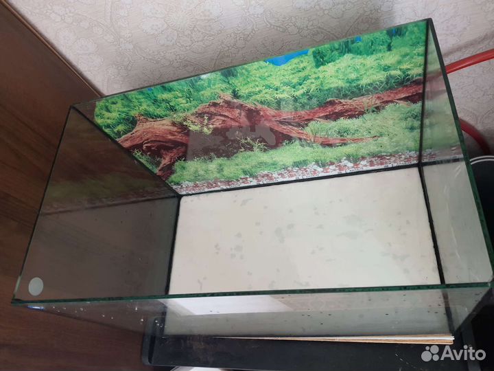Аквариум
