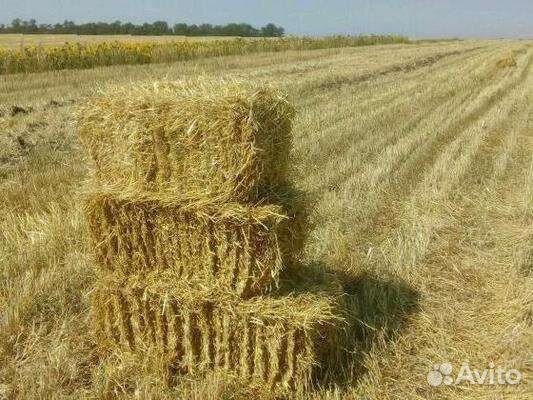 Солома ячменная в тюках