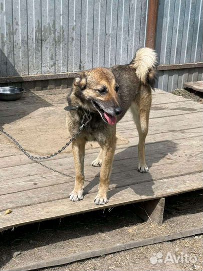 Ее очень жалко