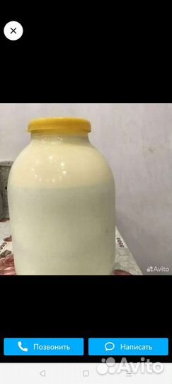 Молоко творог, коровье домашнее