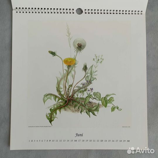 Календарь Meissen 2002 года, Германия