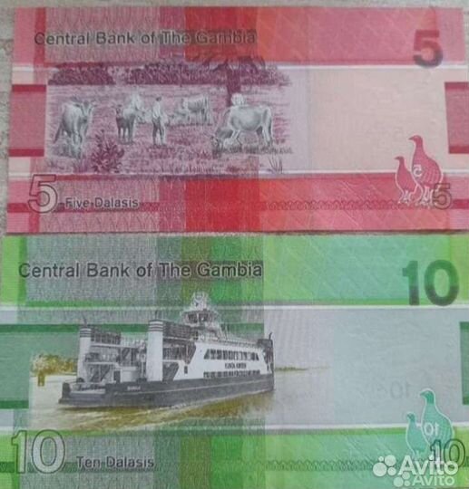 Банкнота Гамбия 5-10 даласи. UNC