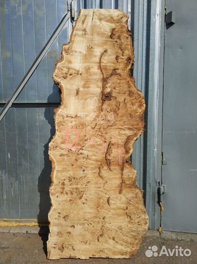 Слэб Тополь Карагач