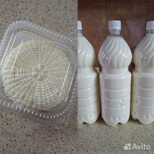 Козье молоко. Адыгейский сыр