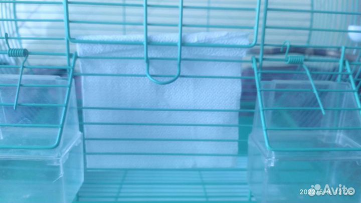 Клетка для среднего попугая