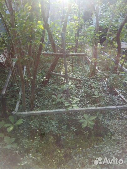 Уборка могил, покраска