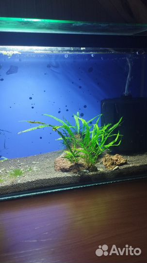 Аквариум