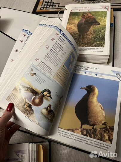 В мире дикой природы. Энциклопедии. 5 томов