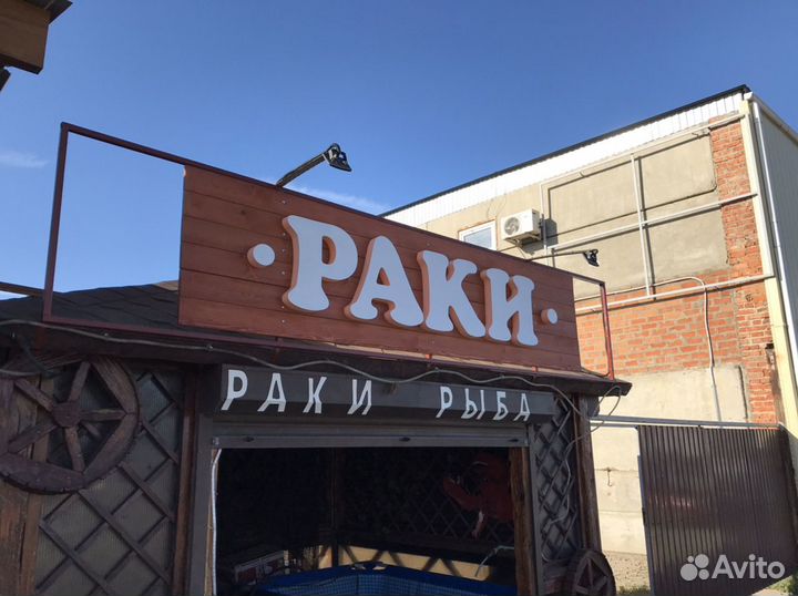 Раки