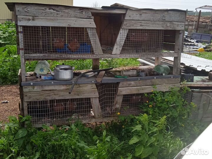 Крольчатники