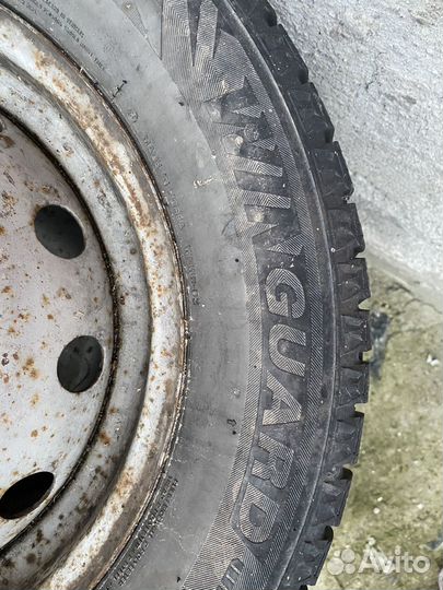 Nexen Winguard 215/65 R16