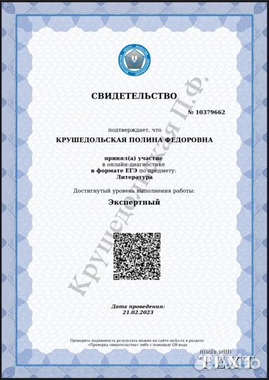 Репетитор по русскому языку и литературе (егэ,огэ)