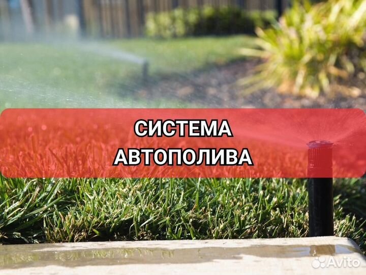 Рулонный газон от производителя