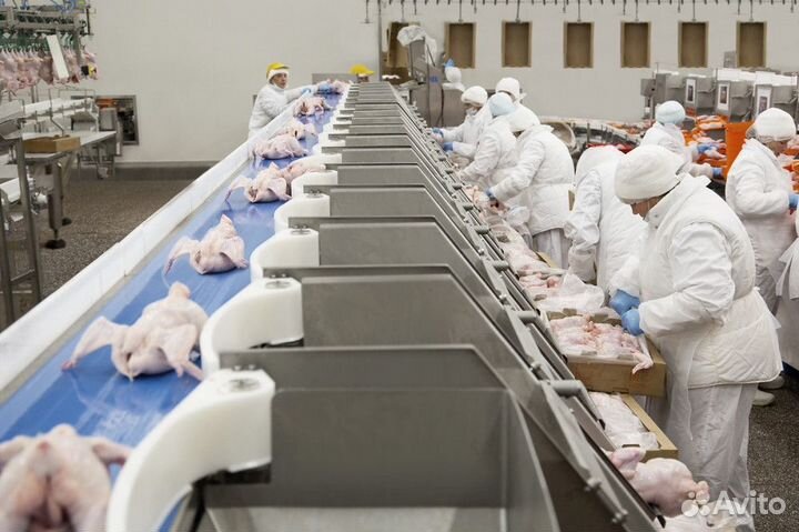 Упаковщики(цы).Короткая вахта 20 смен