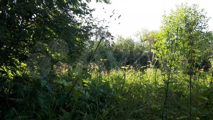 Участок 18 сот. (ИЖС)