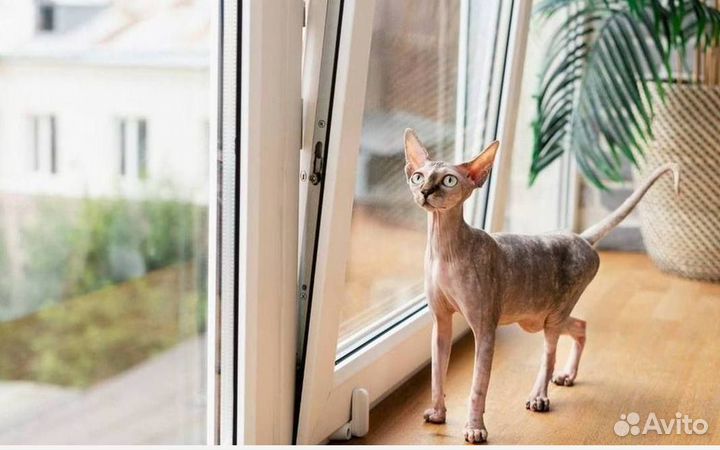 Окна быстро