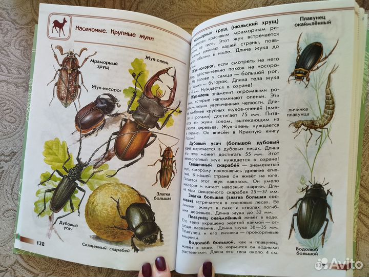 Атлас-определитель От земли до неба. Плешаков