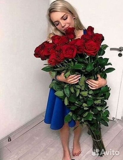 Розы гиганты 140 150 160 170 180 200