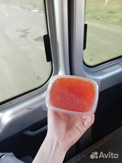 Красная икра горбуши