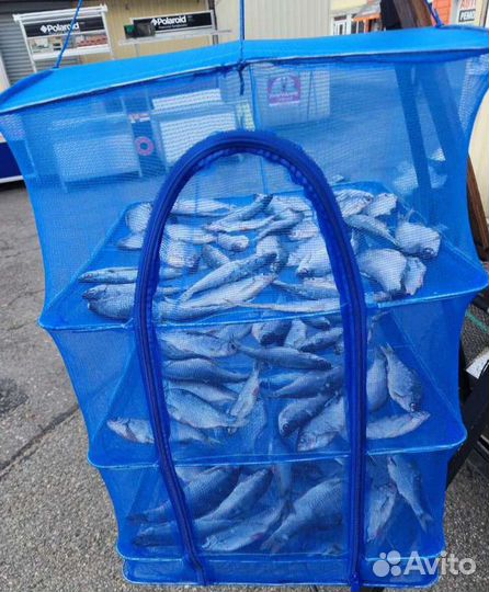 Сушилка для рыбы, овощей