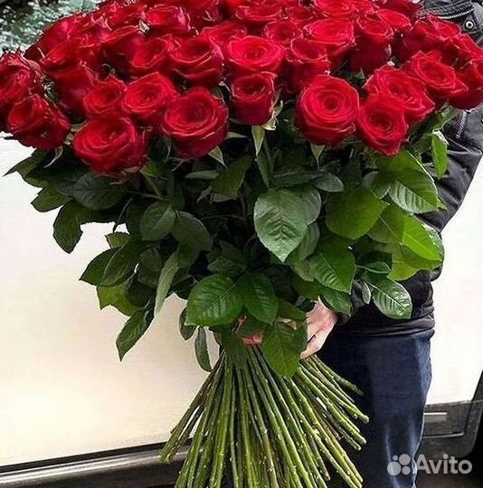 101 роза цветы букеты доставка 25 51 101 роза