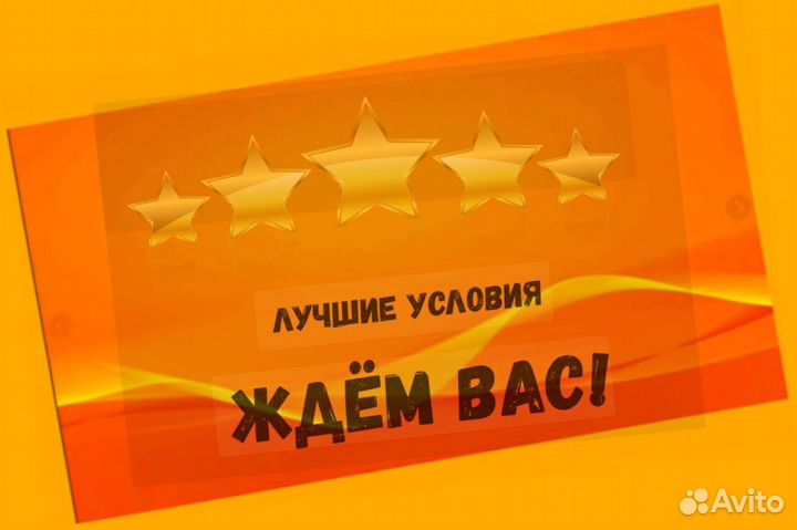 Наборщик заказов Без опыта Еженедельные выплаты