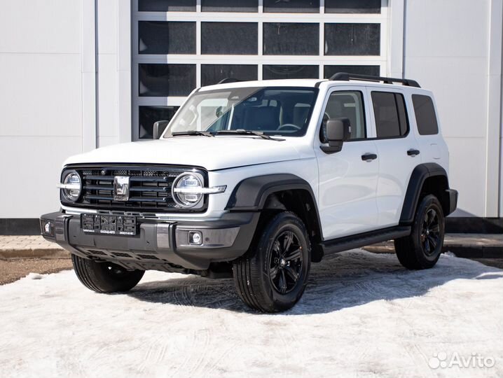 Tank 300 2.0 AT, 2024