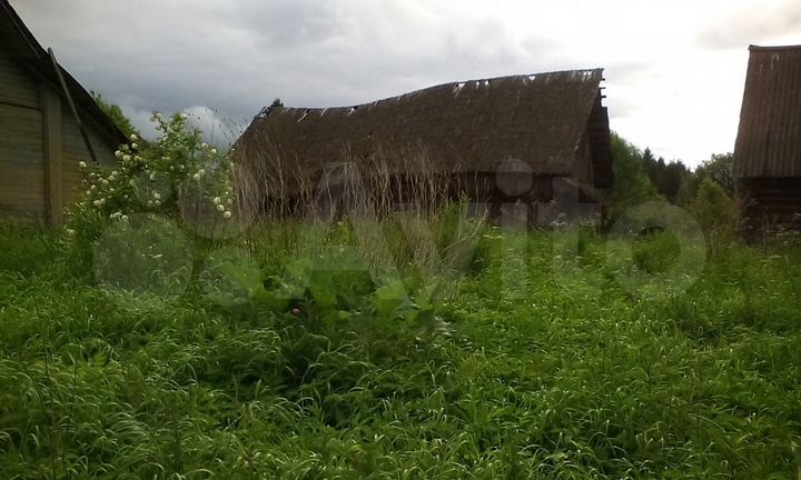 Участок 2,5 га (ИЖС)