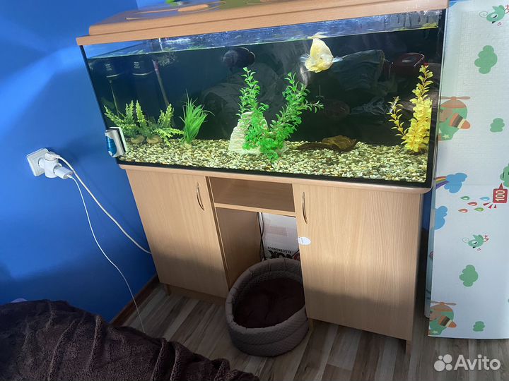 Аквариум с тумбой бу