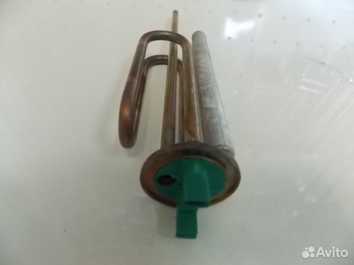 Тэн короткий ус