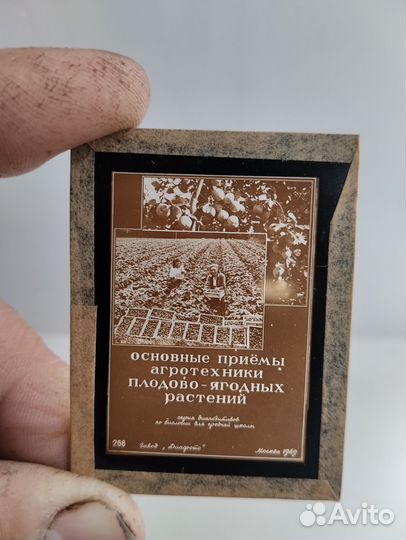 Диапозитивы стеклянные 1949 год