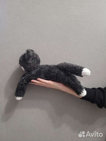 Коты весенние